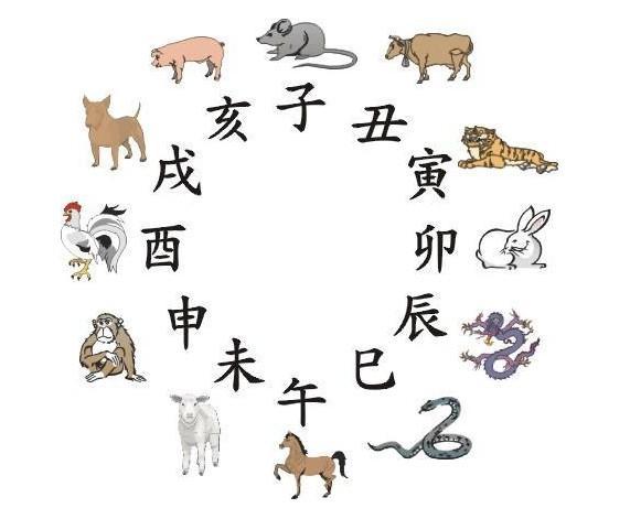 吃四方饭打一正确生肖,警惕虚假宣传落实,实时解答解释落实